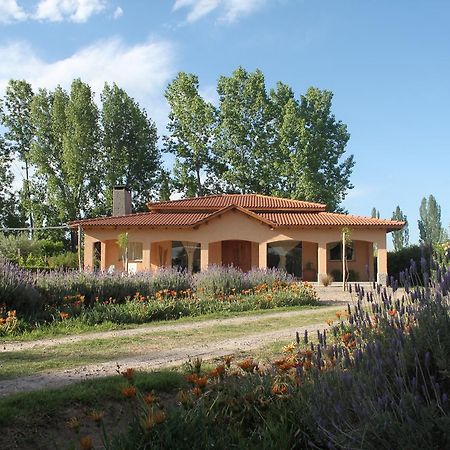 Villa Casona Aventurados Lujan de Cuyo Exterior foto